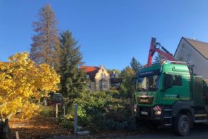 Lindengärten - Oktober 2019: Bauvorbereitung - Notwendige Vorarbeiten
